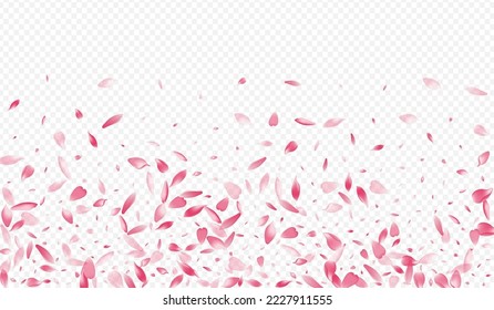 weißer Baum, Vektortransparenter Hintergrund. Blühender SummerDrop Hintergrund. Rosa einzelne Illustration. Petal Romantic Template. Helles Confetti Traummuster.