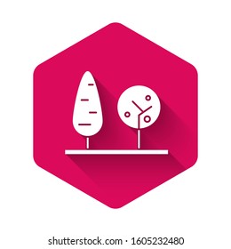 White Trees icon isolated with long shadow. Forest symbol. Pink hexagon button. Vector Illustration
