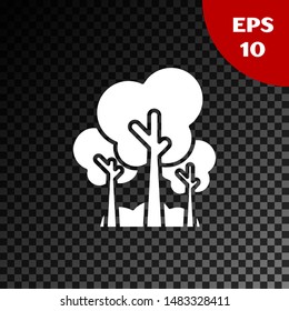 White Trees icon isolated on transparent dark background. Forest symbol.  Vector Illustration