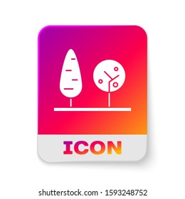 White Trees icon isolated on white background. Forest symbol. Rectangle color button. Vector Illustration