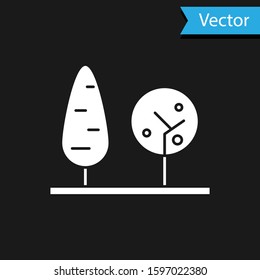 White Trees icon isolated on black background. Forest symbol.  Vector Illustration