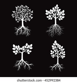 White Trees and Roots. Vector Illustration.