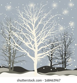 White trees in the winter wood