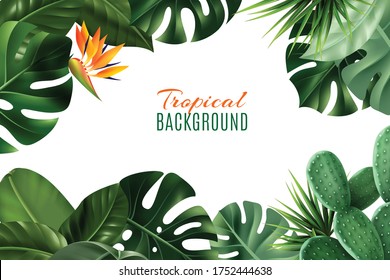 White Tropical background with frame consisting of houseplant leaves and flowers realistic vector illustration