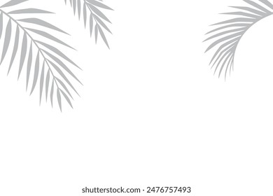 Fondo tropical blanco con hojas de palma gris, diseño minimalista de lujo.