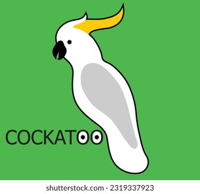 White tropical cockatoo on a green background