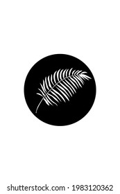 A white tropical leaf on a black circle. Geometric abstraction. Abstract interior picture, postcard, icon, cover or poster
