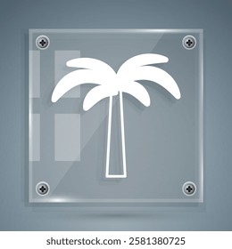 White Tropical palm tree icon isolated on grey background. Coconut palm tree. Square glass panels. Vector