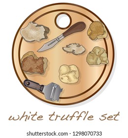 White truffle illustration set on dish isolated white background.