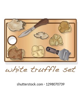 White truffle illustration set on dish isolated white background.