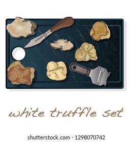White truffle illustration set on dish isolated white background.