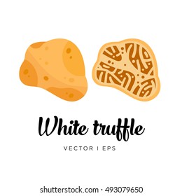 White truffle mushroom, cut sliced, vector editable illustration. Flat simple style.