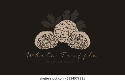 White truffle premium food dark luxury banner template with truffles and oak branch on the background.