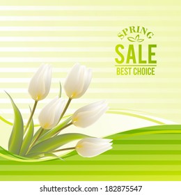 White tulip spring flowers bouquet for sale. Vector illustration.