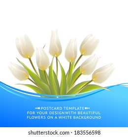 White tulip spring flowers bouquet for sale. Vector illustration.