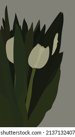 Weiße Tulpen mit grünen Blättern. Vektorflaches Bild eines Tulpenstraums auf grauem Hintergrund. Design für Karten, Poster, Hintergründe, Vorlagen, Einladungen.