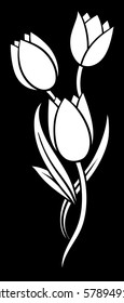 White tulips isolated on black background. Vector illustration.