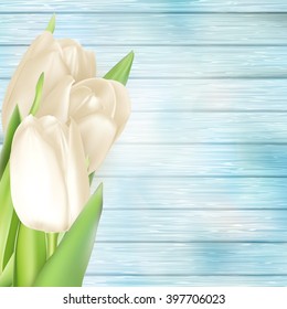 White tulips on turquoise painted wooden background. EPS 10 vector file included