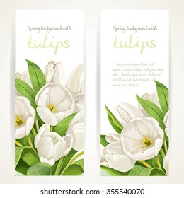 White tulips on two vertical banners on a white background