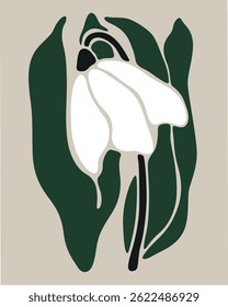 white tulips that will wilt
