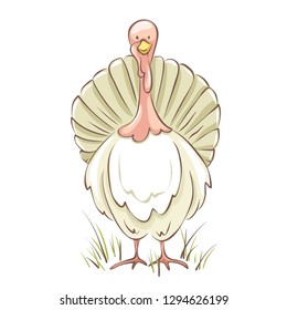 White turkey. Funny vector illustration, sketch -- poultry