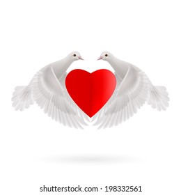 White two doves holds red heart in wings