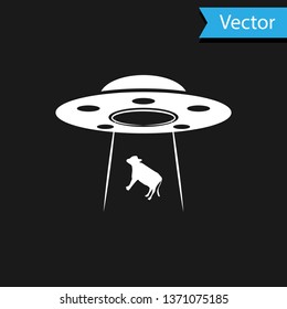 White UFO abducts cow icon isolated on black background. Flying saucer.  