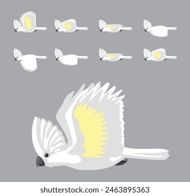 White Umbrella Cockatoo Flying Animation Sequence Cartoon Vector