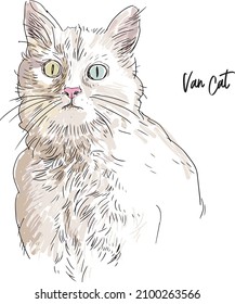 white Van breed cute cat