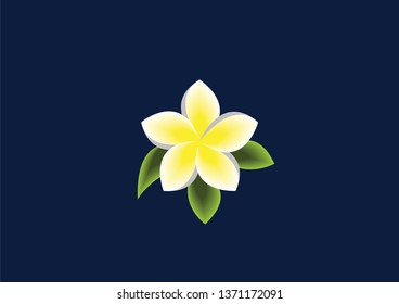 white vector champa laos