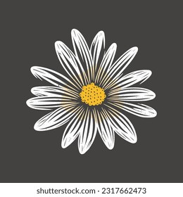 Daisación vectorial blanca en gris, simple y elegante