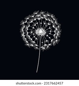 White vector dandelion on black, simple and elegant