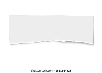 White vector elongate paper tear, isolated on white background