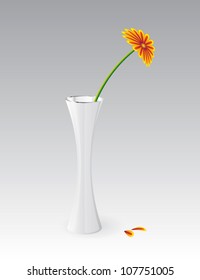 White vector glossy vase with an orange gerber flower