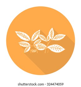 White vector leaves on color circle background.