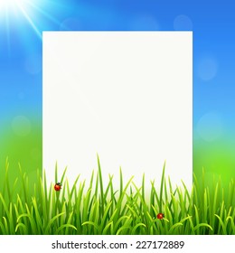 White vector paper sheet on sunny summer grass background