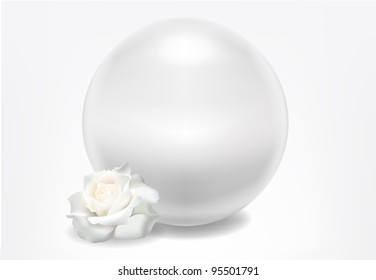 White vector pearl with beautiful white rose