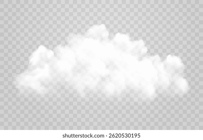 White vector realistic cloud. Vector weather element on png background. Cloud texture, nature sky or foggy nature illustration isolated on transparent background.