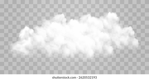 White vector realistic cloud. Vector weather element on png background. Cloud texture, nature sky or foggy nature illustration isolated on transparent background.