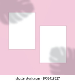 White vertical paper sheet on pink background with shadow overlay leaf of monstera. Mockup blank business card. Vector