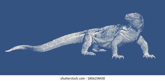 White vintage engraved stencil art of Komodo dragon vector illustration isolated on deep blue background