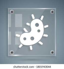 Icono de Virus Blanco aislado en fondo gris. Virus Corona 2019-nCoV. Bacterias y gérmenes, cáncer celular, microbio, hongos. Paneles de vidrio cuadrado. Ilustración vectorial
