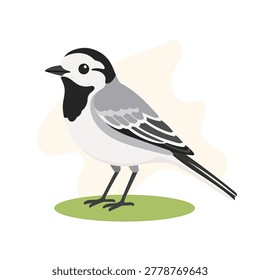 White wagtail perched in minimal flat vector style, white wagtail isolated with soft shapes and trendy wildlife nursery illustration art
