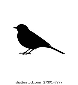 White wagtail silhouette vector flat illustration design.