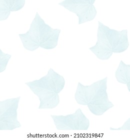 White wall background texture with leaf. Vector illustration.