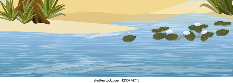 White water lilies, tall grass and a tree The nature of Europe and America. Realistic Vector Landscape