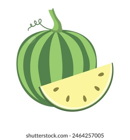 White watermelon vector illustration, rare watermelon varieties, isolated on white background