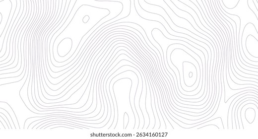 White wave paper curved reliefs abstract background, Abstract topographic contours map background, Topography map background. Vector geographic contour map.