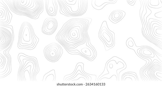 White wave paper curved reliefs abstract background, Abstract topographic contours map background, Topography map background. Vector geographic contour map.
