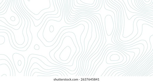 White wave paper curved reliefs abstract background, Abstract topographic contours map background, Topography map background. Vector geographic contour map.